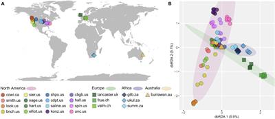 Global Grassland Diazotrophic Communities Are Structured by Combined Abiotic, Biotic, and Spatial Distance Factors but Resilient to Fertilization